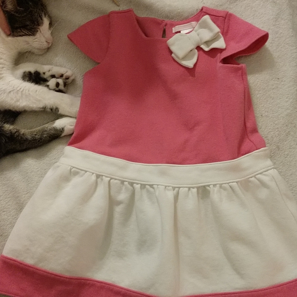 Girls 2T dress